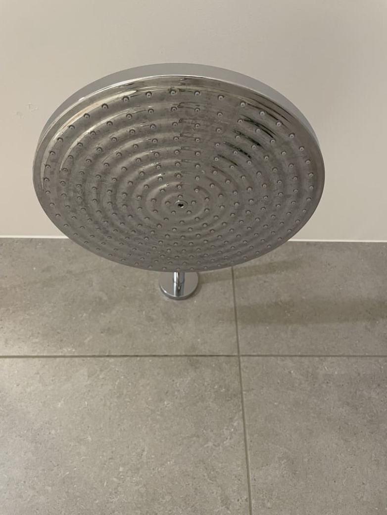 A picture of Mrs. Fox