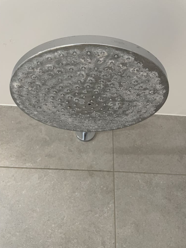 A picture of Mrs. Fox